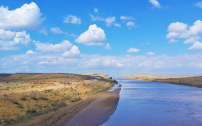 Roundtable on the Uzbekistan Ecology and Environment